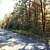 Billy Creek Trail - South Loop (Ouachita Forest) - 7 mi photo Billy Creek Trail - South Loop (Ouachita Forest) - 7 mi photo