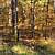 Billy Creek Trail - South Loop (Ouachita Forest) - 7 mi photo Billy Creek Trail - South Loop (Ouachita Forest) - 7 mi photo