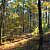 Billy Creek Trail - South Loop (Ouachita Forest) - 7 mi photo Billy Creek Trail - South Loop (Ouachita Forest) - 7 mi photo