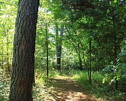 Sequoyah State Park: Deer Run Trail – 2 mi photo Sequoyah State Park: Deer Run Trail – 2 mi photo