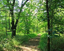 Sequoyah State Park: Deer Run Trail – 2 mi photo Sequoyah State Park: Deer Run Trail – 2 mi photo