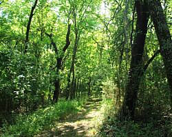 Sequoyah State Park: Deer Run Trail – 2 mi photo Sequoyah State Park: Deer Run Trail – 2 mi photo