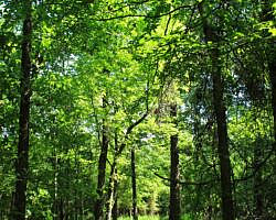 Sequoyah State Park: Deer Run Trail – 2 mi photo Sequoyah State Park: Deer Run Trail – 2 mi photo
