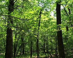 Sequoyah State Park: Deer Run Trail – 2 mi photo Sequoyah State Park: Deer Run Trail – 2 mi photo