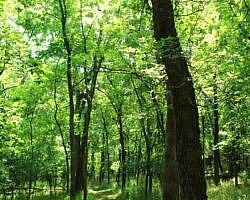 Sequoyah State Park: Deer Run Trail – 2 mi photo Sequoyah State Park: Deer Run Trail – 2 mi photo