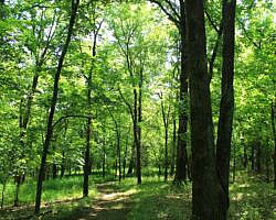 Sequoyah State Park: Deer Run Trail – 2 mi photo Sequoyah State Park: Deer Run Trail – 2 mi photo