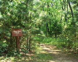 Sequoyah State Park: Deer Run Trail – 2 mi photo