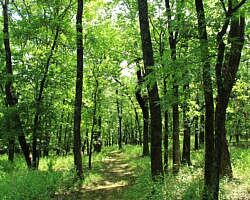 Sequoyah State Park: Deer Run Trail – 2 mi photo Sequoyah State Park: Deer Run Trail – 2 mi photo