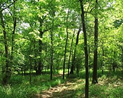 Sequoyah State Park: Deer Run Trail – 2 mi photo Sequoyah State Park: Deer Run Trail – 2 mi photo