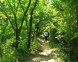 Oxley: Oxbow Lake/North Woods Trails - 2 mi photo Oxley: Oxbow Lake/North Woods Trails - 2 mi photo