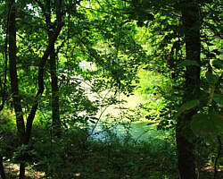 Oxley: Oxbow Lake/North Woods Trails - 2 mi photo Oxley: Oxbow Lake/North Woods Trails - 2 mi photo