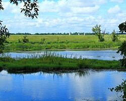 Oxley: Oxbow Lake/North Woods Trails - 2 mi photo Oxley: Oxbow Lake/North Woods Trails - 2 mi photo