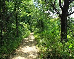 Oxley: Oxbow Lake/North Woods Trails - 2 mi photo Oxley: Oxbow Lake/North Woods Trails - 2 mi photo