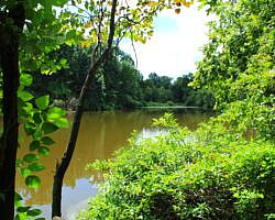 Oxley: Oxbow Lake/North Woods Trails - 2 mi photo Oxley: Oxbow Lake/North Woods Trails - 2 mi photo