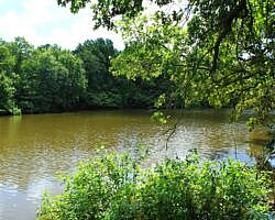 Oxley: Oxbow Lake/North Woods Trails - 2 mi photo Oxley: Oxbow Lake/North Woods Trails - 2 mi photo