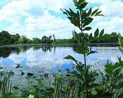 Oxley: Oxbow Lake/North Woods Trails - 2 mi photo Oxley: Oxbow Lake/North Woods Trails - 2 mi photo