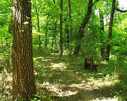 Oxley: Oxbow Lake/North Woods Trails - 2 mi photo Oxley: Oxbow Lake/North Woods Trails - 2 mi photo