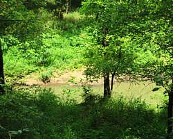 Oxley: Oxbow Lake/North Woods Trails - 2 mi photo Oxley: Oxbow Lake/North Woods Trails - 2 mi photo