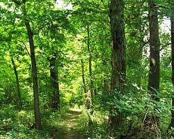 Oxley: Oxbow Lake/North Woods Trails - 2 mi photo Oxley: Oxbow Lake/North Woods Trails - 2 mi photo