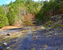 Cossatot River: Harris Creek Trail - 3 mi photo Cossatot River: Harris Creek Trail - 3 mi photo