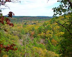Cossatot River: Harris Creek Trail - 3 mi photo Cossatot River: Harris Creek Trail - 3 mi photo