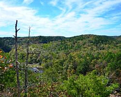 Cossatot River: Harris Creek Trail - 3 mi photo Cossatot River: Harris Creek Trail - 3 mi photo