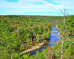 Cossatot River: Harris Creek Trail - 3 mi photo Cossatot River: Harris Creek Trail - 3 mi photo