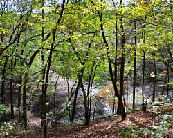 Cossatot River: Harris Creek Trail - 3 mi photo Cossatot River: Harris Creek Trail - 3 mi photo