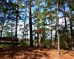 Cossatot River: Harris Creek Trail - 3 mi photo Cossatot River: Harris Creek Trail - 3 mi photo