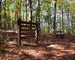 Cossatot River: Harris Creek Trail - 3 mi photo Cossatot River: Harris Creek Trail - 3 mi photo
