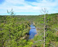Cossatot River: Harris Creek Trail - 3 mi photo Cossatot River: Harris Creek Trail - 3 mi photo