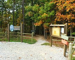 Hobbs: Hidden Diversity - Dutton Hollow Loop - 4 mi photo Hobbs: Hidden Diversity - Dutton Hollow Loop - 4 mi photo