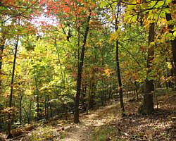 Hobbs: Hidden Diversity - Dutton Hollow Loop - 4 mi photo Hobbs: Hidden Diversity - Dutton Hollow Loop - 4 mi photo