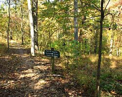 Hobbs: Hidden Diversity - Dutton Hollow Loop - 4 mi photo Hobbs: Hidden Diversity - Dutton Hollow Loop - 4 mi photo