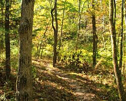 Hobbs: Hidden Diversity - Dutton Hollow Loop - 4 mi photo Hobbs: Hidden Diversity - Dutton Hollow Loop - 4 mi photo