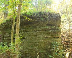 Hobbs: Hidden Diversity - Dutton Hollow Loop - 4 mi photo Hobbs: Hidden Diversity - Dutton Hollow Loop - 4 mi photo