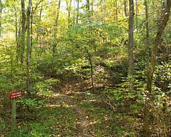 Hobbs: Hidden Diversity - Dutton Hollow Loop - 4 mi photo Hobbs: Hidden Diversity - Dutton Hollow Loop - 4 mi photo