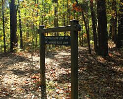 Hobbs: Hidden Diversity - Dutton Hollow Loop - 4 mi photo Hobbs: Hidden Diversity - Dutton Hollow Loop - 4 mi photo