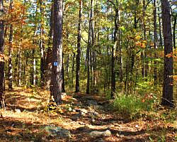 Robbers Cave: Cattail Pond/Rough Canyon Trail Loop – 4 mi photo Robbers Cave: Cattail Pond/Rough Canyon Trail Loop – 4 mi photo