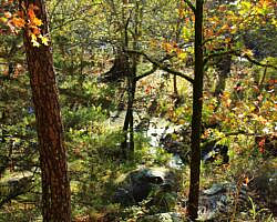 Robbers Cave: Cattail Pond/Rough Canyon Trail Loop – 4 mi photo Robbers Cave: Cattail Pond/Rough Canyon Trail Loop – 4 mi photo