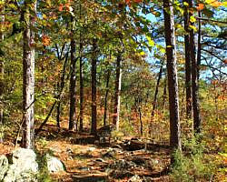 Robbers Cave: Cattail Pond/Rough Canyon Trail Loop – 4 mi photo Robbers Cave: Cattail Pond/Rough Canyon Trail Loop – 4 mi photo