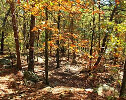 Robbers Cave: Cattail Pond/Rough Canyon Trail Loop – 4 mi photo Robbers Cave: Cattail Pond/Rough Canyon Trail Loop – 4 mi photo