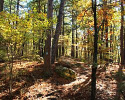 Robbers Cave: Cattail Pond/Rough Canyon Trail Loop – 4 mi photo Robbers Cave: Cattail Pond/Rough Canyon Trail Loop – 4 mi photo