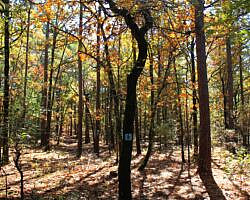 Robbers Cave: Cattail Pond/Rough Canyon Trail Loop – 4 mi photo Robbers Cave: Cattail Pond/Rough Canyon Trail Loop – 4 mi photo