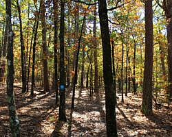 Robbers Cave: Cattail Pond/Rough Canyon Trail Loop – 4 mi photo Robbers Cave: Cattail Pond/Rough Canyon Trail Loop – 4 mi photo