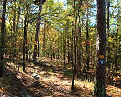Robbers Cave: Cattail Pond/Rough Canyon Trail Loop – 4 mi photo Robbers Cave: Cattail Pond/Rough Canyon Trail Loop – 4 mi photo