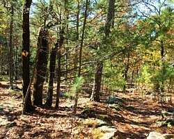 Robbers Cave: Cattail Pond/Rough Canyon Trail Loop – 4 mi photo Robbers Cave: Cattail Pond/Rough Canyon Trail Loop – 4 mi photo