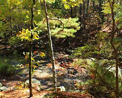 Robbers Cave: Cattail Pond/Rough Canyon Trail Loop – 4 mi photo Robbers Cave: Cattail Pond/Rough Canyon Trail Loop – 4 mi photo
