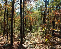 Robbers Cave: Cattail Pond/Rough Canyon Trail Loop – 4 mi photo Robbers Cave: Cattail Pond/Rough Canyon Trail Loop – 4 mi photo