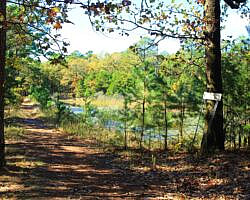 Robbers Cave: Cattail Pond/Rough Canyon Trail Loop – 4 mi photo Robbers Cave: Cattail Pond/Rough Canyon Trail Loop – 4 mi photo